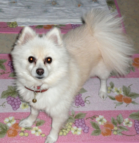 20121222ﾕｷ01.jpg