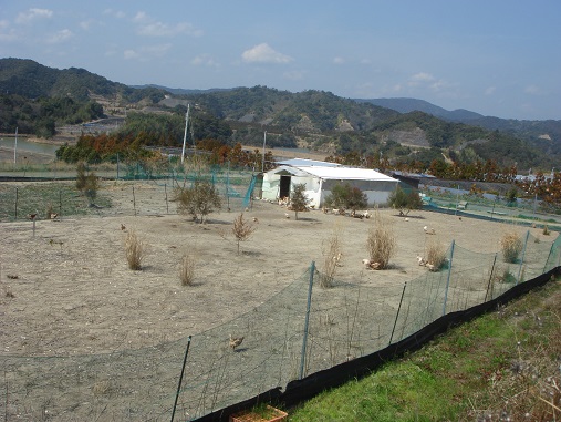 コントラスト.jpg