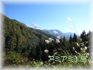 秋山郷_16
