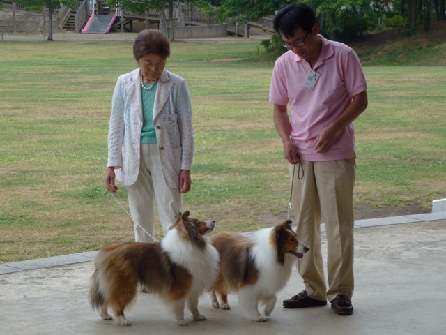 P1010335 - コピー.JPG