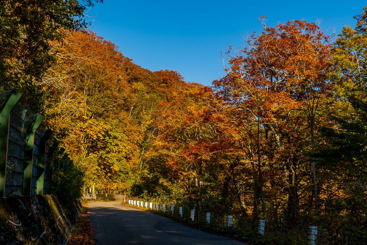 会津紅葉速報 今年の紅葉は早い 遅い 昭和村 矢ノ原湿原 会津東山温泉 くつろぎ宿ブログ 楽天ブログ