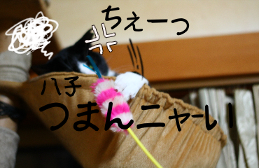 IMG_0676.png