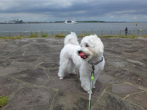 城南島海浜公園にて