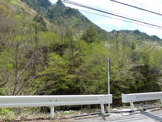 P1070402.JPG