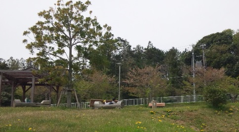 130409_105113.jpg