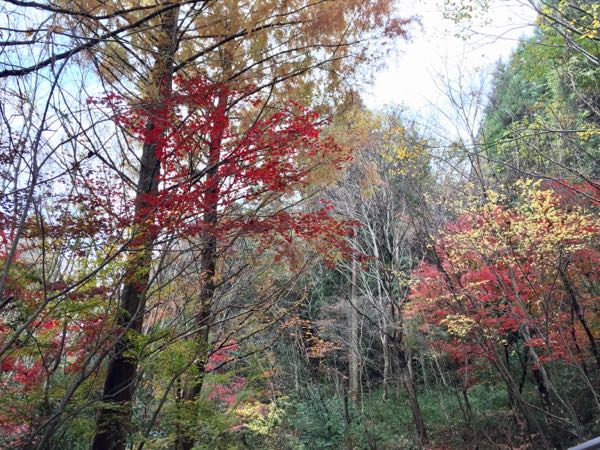 rblog-20161129090114-04.jpg