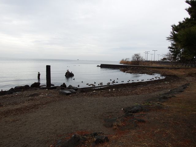 DSCF4224.JPG