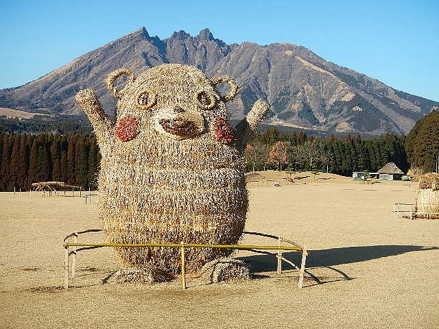 DSCN8276.jpg