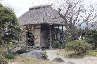 DSCF3373.jpg