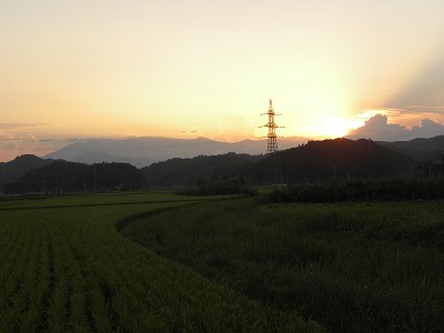 DSCN9748.jpg