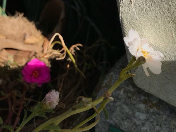 rblog-20181029111101-02.jpg