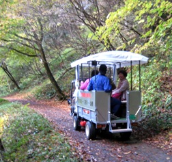 電気自動車