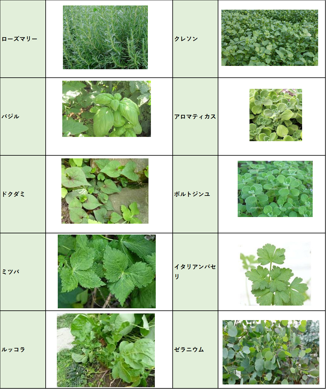 ハーブとは その種類と効用は 彡 学び活かすのブログ 楽天ブログ