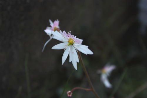 2015052703.jpg