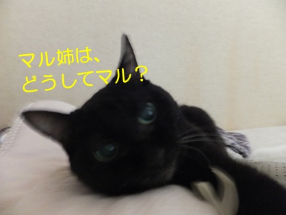 20120915_4.jpg