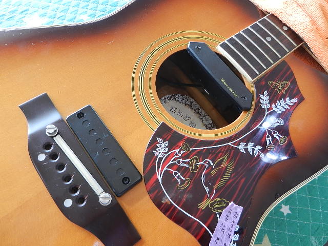 Vintage Elfolk EFG-350 (Acoustic Guitar w/Built in Amplifier