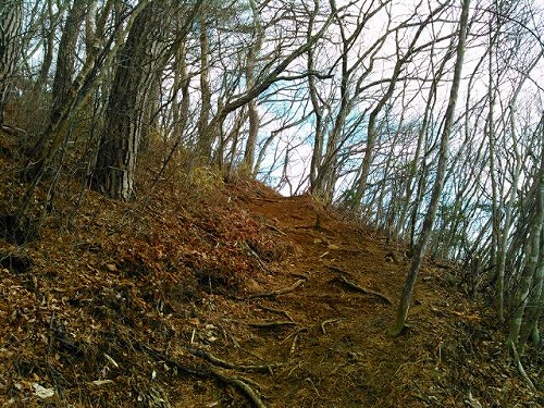 アップダウン20150125蕃山3山.jpg