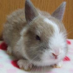BBbaby1A6-10-2012.JPG