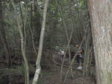 P7280064a.jpg