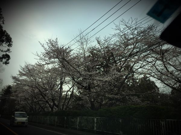 rblog-20160330183405-07.jpg