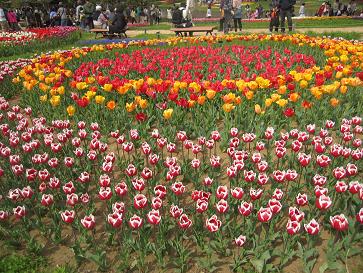 IMG_3618f.JPG
