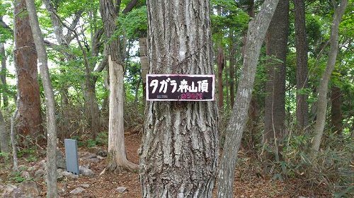 s-20140515七ッ森制覇たがら森山頂.jpg