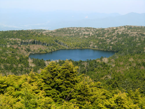 白駒池