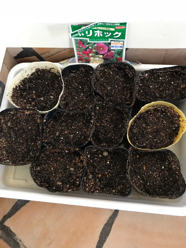 rblog-20180823191229-01.jpg