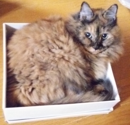 ゆーに.JPG