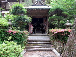 大寧寺（２6）262.jpg