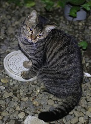 5DA_9064-9.jpg