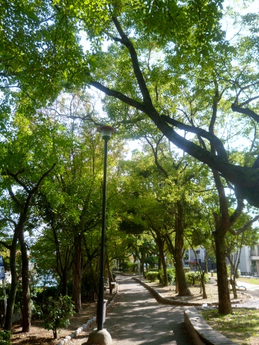 027 (375x500).jpg