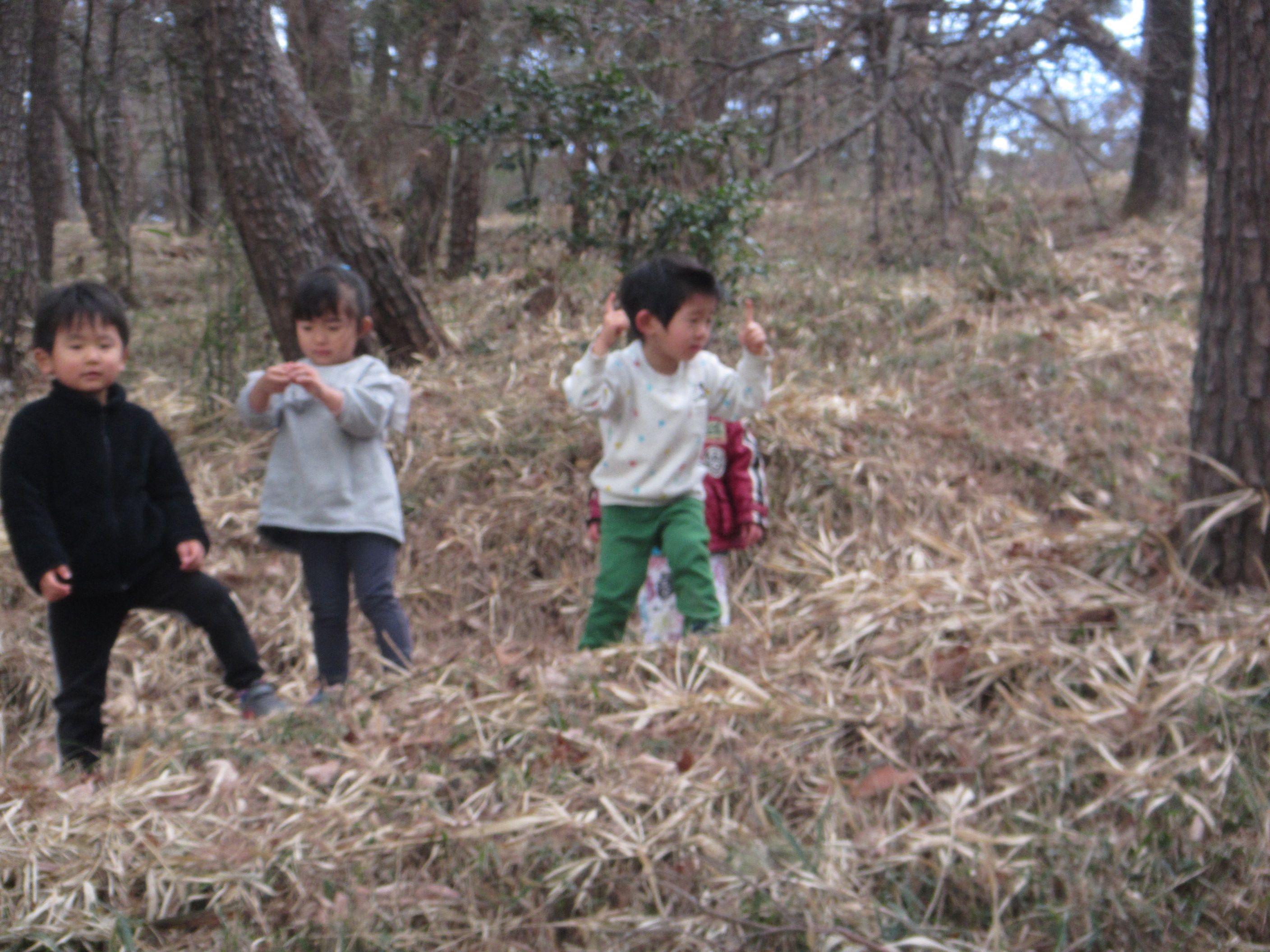 金山登山 | 認定こども園 アプリコット保育園 - 楽天ブログ
