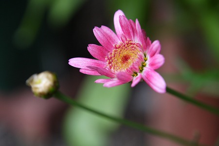 P1000876.jpg