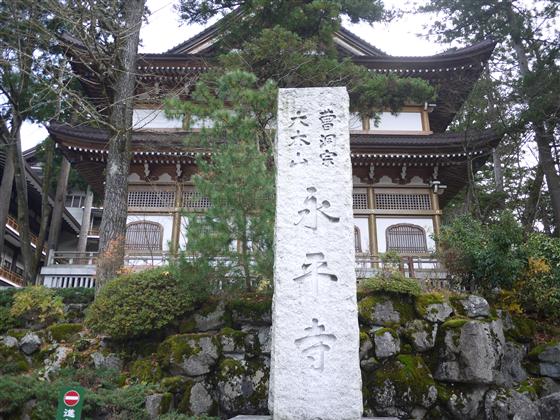P1150305.jpg