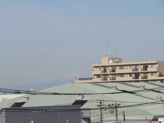 6月の富士山 | 写真日記時々猫と花 - 楽天ブログ