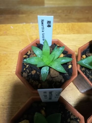 rblog-20171112084732-01.jpg