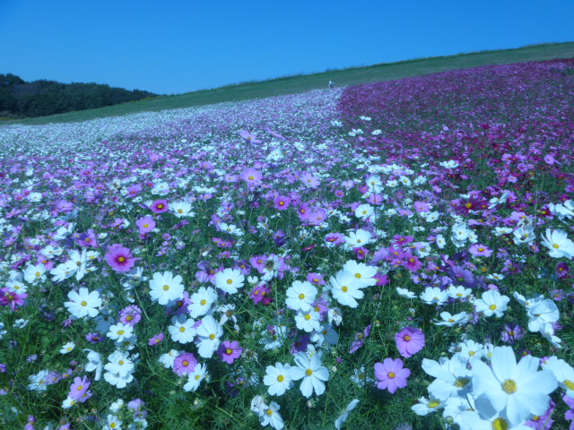 10月-2 004.jpg