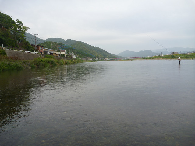 resize0013.jpg