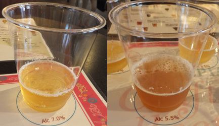 2013IKSPIARICRAFTBEERC14