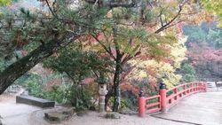 第5回? 早朝ウォーキング_3703.jpg