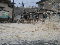 DSCN6223-w256.jpg