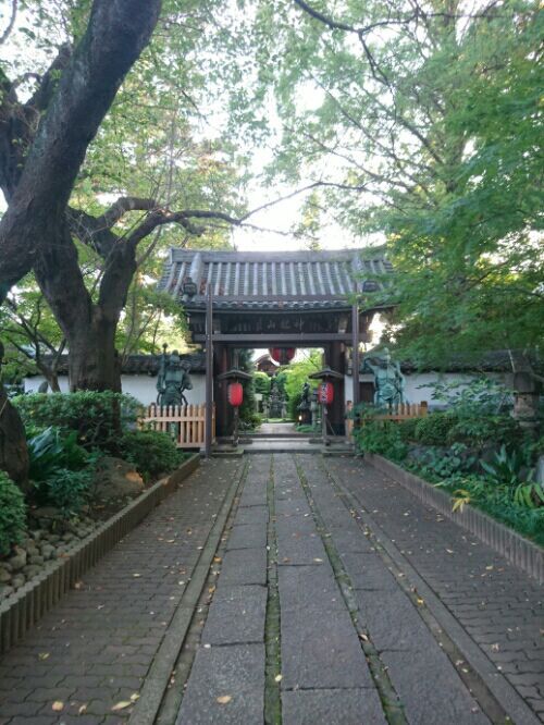 rblog-20170116000344-03.jpg