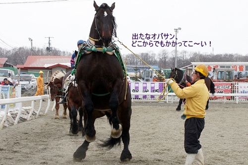 ハヤテショウリキ