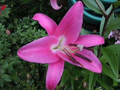 DSCN0048.JPG