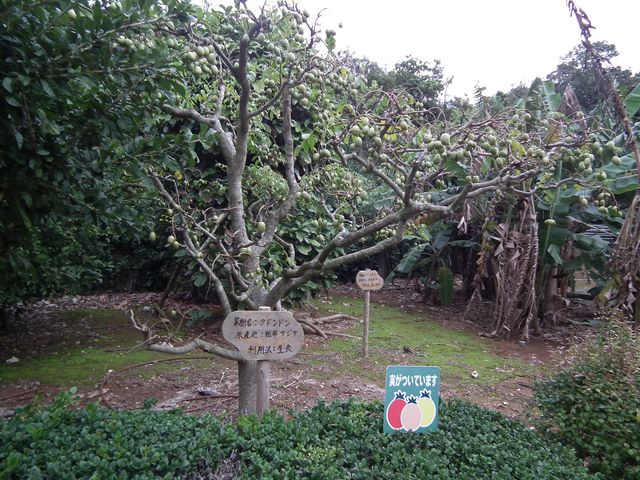 DSCF9063.JPG