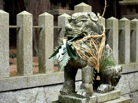 川除御霊神社の狛犬