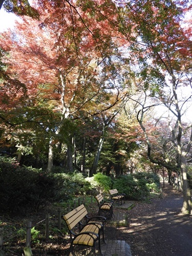 井の頭恩賜公園