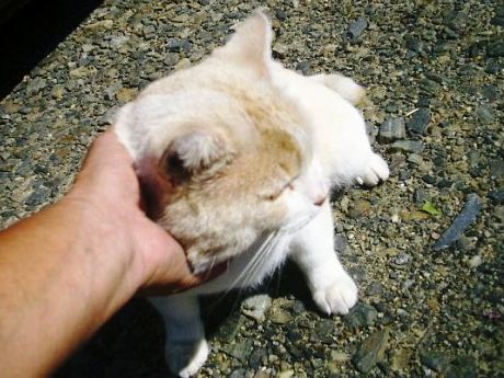 2012年10月02日_IMGP9960.jpg