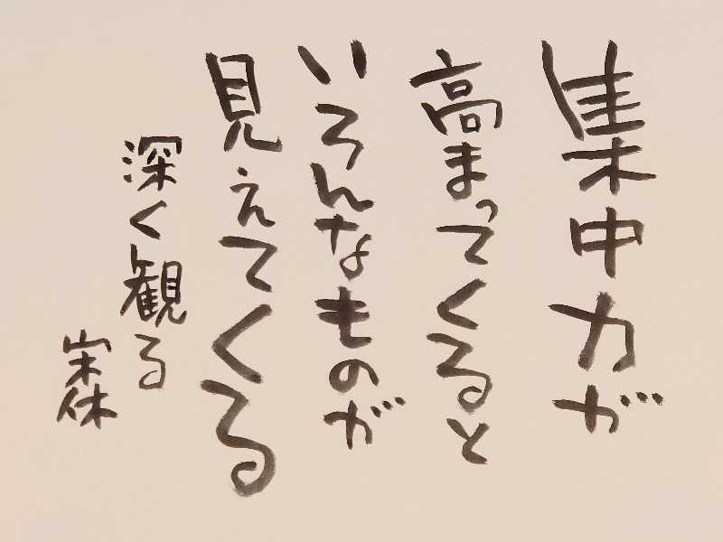 もう無理かと思っていたが | いきいき宋休記 - 楽天ブログ